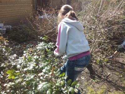 Foto des Albums: Elmshorn macht Putz! Fünftklässler sammeln Müll in den Steindammwiesen.