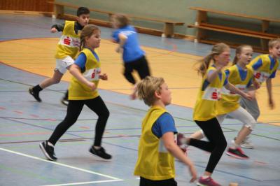 Foto des Albums: Martinicup 2017