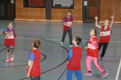 Foto des Albums: Martinicup 2017