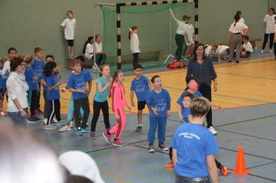 Foto des Albums: Martinicup 2017