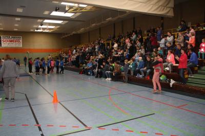 Foto des Albums: Martinicup 2017