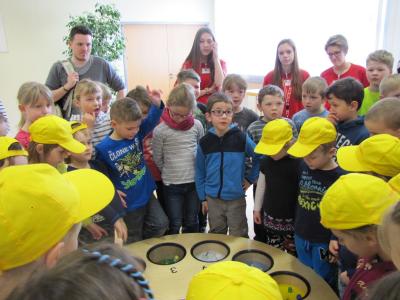 Foto des Albums: Mathematikum Klasse 1 und 2 in Altenburg