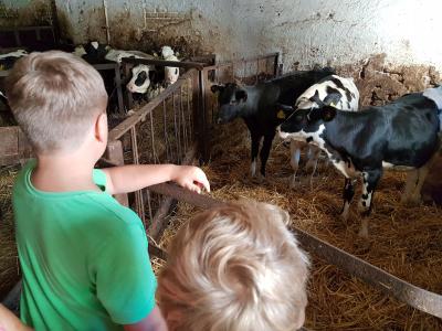 Foto des Albums: Milchbauernhof