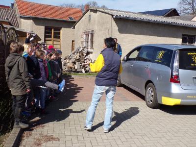 Foto des Albums: KiJu-Projekt der 2. Klassen