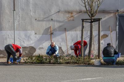 Foto des Albums: Aktionstag "Miteinander, Füreinander, ein Dorf für Jung und Alt"