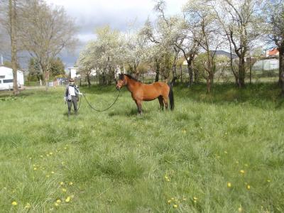 Foto des Albums: Fotoshooting (23.04.2017)