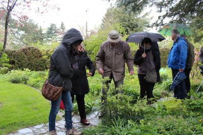 Foto des Albums: Zu Besuch bei Foerster und Näser (23.04.2017)