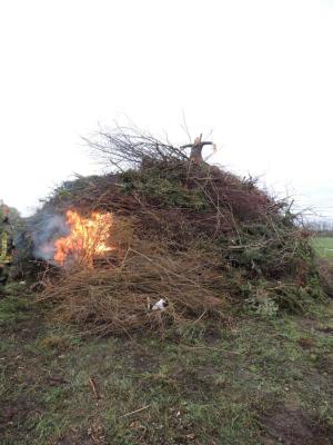 Foto des Albums: Osterfeuer in Beesdau 2017