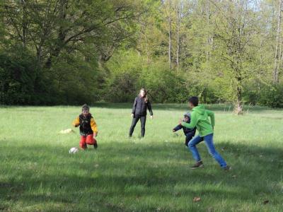 Foto des Albums: Ostereiersuche der Beesdauer Kinder