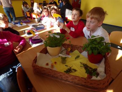 Foto des Albums: Gesundheitswoche 2017 - Kneipp