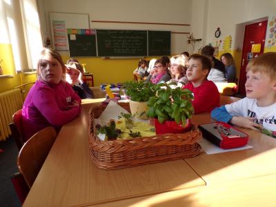 Foto des Albums: Gesundheitswoche 2017 - Kneipp