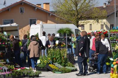 Foto des Albums: Maimarkt 2017