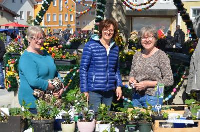 Foto des Albums: Maimarkt 2017