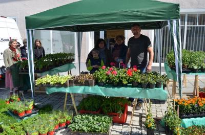 Foto des Albums: Maimarkt 2017