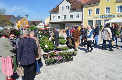 Foto des Albums: Maimarkt 2017