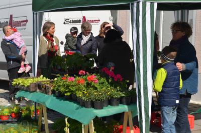 Foto des Albums: Maimarkt 2017