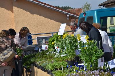 Foto des Albums: Maimarkt 2017