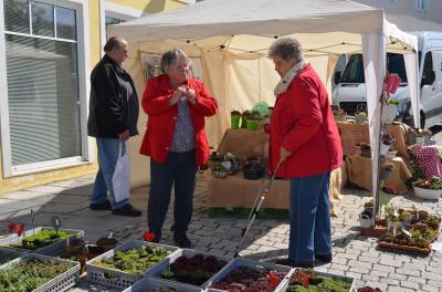 Foto des Albums: Maimarkt 2017