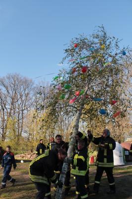 Foto des Albums: Maibaum und Feuer (02.05.2017)