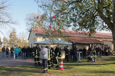 Foto des Albums: Maibaum und Feuer (02.05.2017)