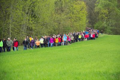 Foto des Albums: Die 24. MAZ-Osterwanderung lockt mehr als 1000 Ausflügler nach Schlenzer (03.05.2017)