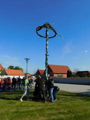 Foto des Albums: Walpurgis und 1. Mai im Seeland