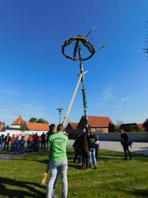 Foto des Albums: Walpurgis und 1. Mai im Seeland