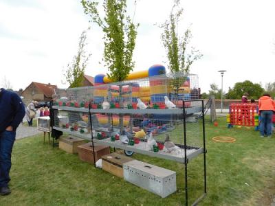 Foto des Albums: Walpurgis und 1. Mai im Seeland