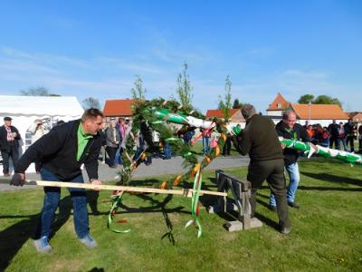Foto des Albums: Walpurgis und 1. Mai im Seeland