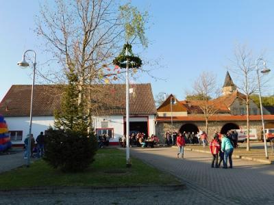 Foto des Albums: Walpurgis und 1. Mai im Seeland