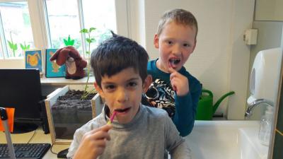 Foto des Albums: Zahngesundheit