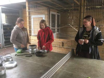 Foto des Albums: Expeditionsworkshop des Internationalen Jugendprogramms