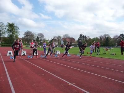 Start 50 m  (Bild vergr&ouml;&szlig;ern)