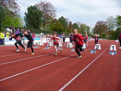 Start 50 m  (Bild vergr&ouml;&szlig;ern)