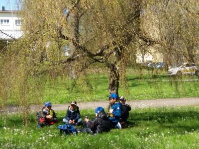 Foto des Albums: Wandertag 2a - Götzinger Höhe