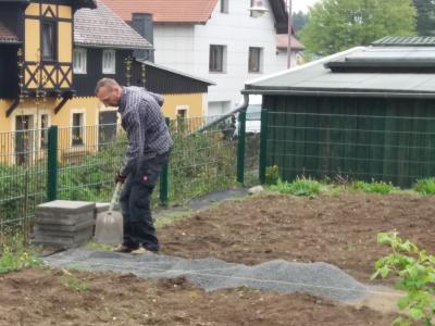 Foto des Albums: Schulgarteneinsatz