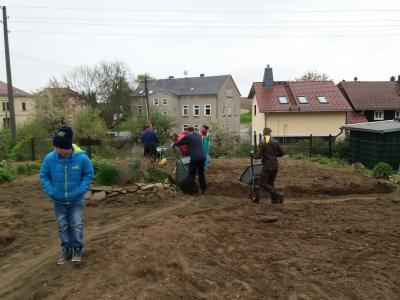 Foto des Albums: Schulgarteneinsatz