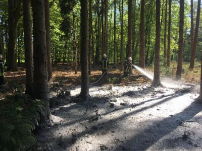 Foto des Albums: 09.05.2017_Einsatz 1