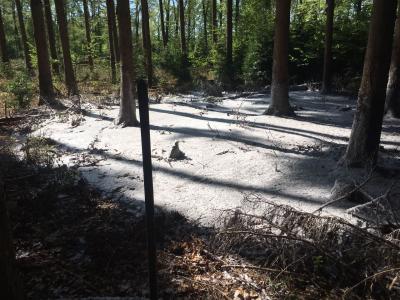 Foto des Albums: 09.05.2017_Einsatz 1