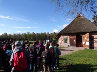 Foto des Albums: Waldolympiade 2017