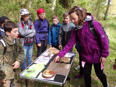 Foto des Albums: Waldolympiade 2017