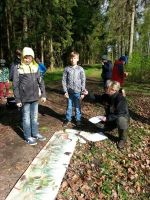 Foto des Albums: Waldolympiade 2017