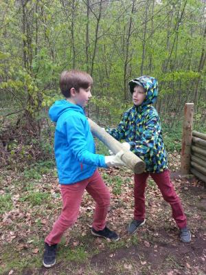 Foto des Albums: Waldolympiade 2017