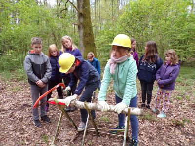 Foto des Albums: Waldolympiade 2017