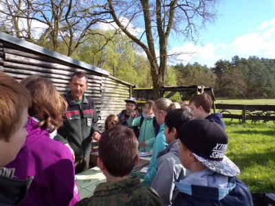 Foto des Albums: Waldolympiade 2017