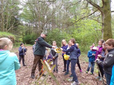 Foto des Albums: Waldolympiade 2017