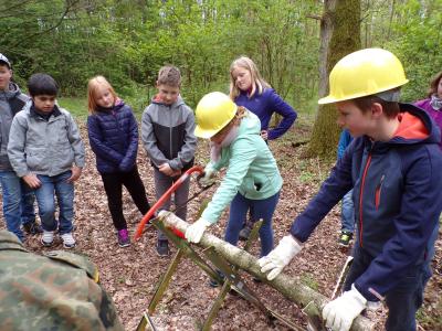 Foto des Albums: Waldolympiade 2017