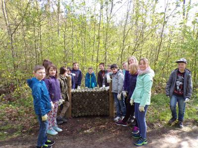 Foto des Albums: Waldolympiade 2017