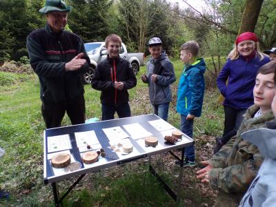 Foto des Albums: Waldolympiade 2017