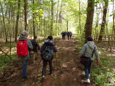 Foto des Albums: Waldolympiade 2017